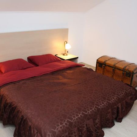 Hotel Casa Ianis à Braşov Extérieur photo